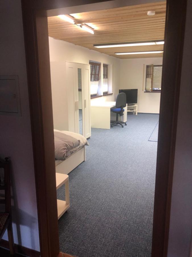 1-Zimmer Apartment, 45 Qm, Im Weinort Neustadt-Duttweiler Neustadt an der Weinstraße Exteriör bild