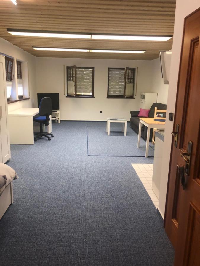 1-Zimmer Apartment, 45 Qm, Im Weinort Neustadt-Duttweiler Neustadt an der Weinstraße Exteriör bild